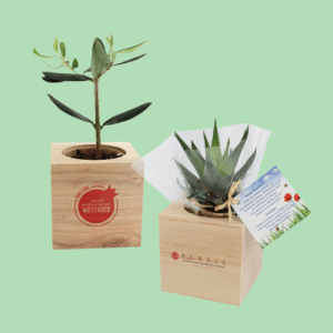 plante de bureau personnalisée