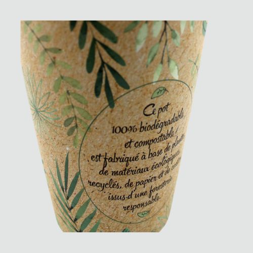 Smootie plante