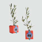 Cube arbre écoresponsable