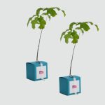 Cube arbre écologique