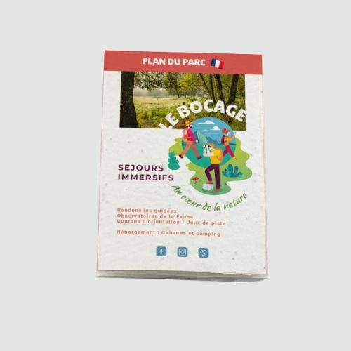 Plan touristique biodégradable à graines