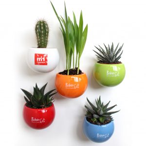Plante pot céramique aimanté