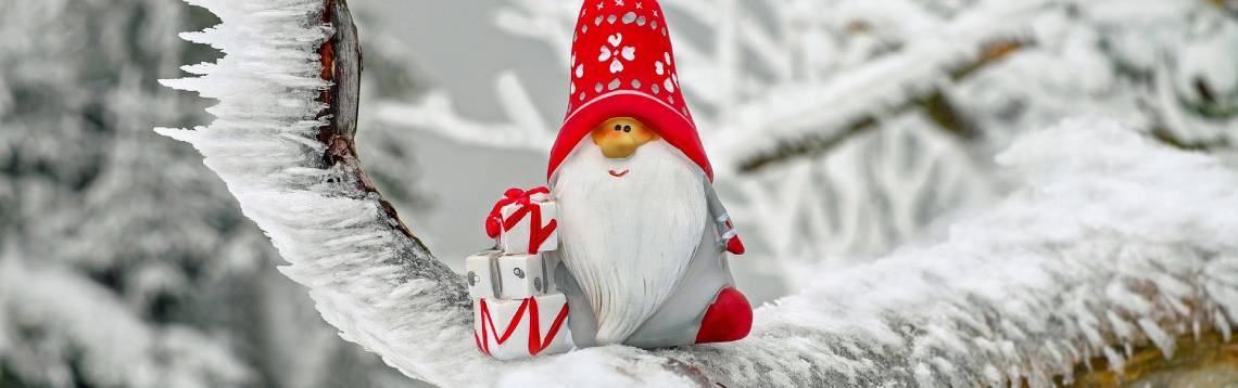 goodies hiver